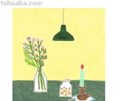 粉嫩柔和的居家静物与花卉｜韩国插画师dalnuun - 图画吧TUHUABA