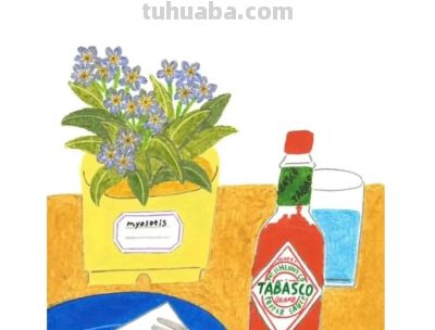 粉嫩柔和的居家静物与花卉｜韩国插画师dalnuun - 图画吧TUHUABA