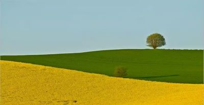 8 个摄影黄金法则,让你的照片有灵魂、有温度 - 今日头条 8 个摄影黄金法则,让你的照片有灵魂、有温度 - 图画吧TUHUABA