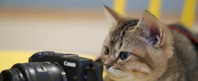 20年摄影经验:手机连拍技巧全攻略,抓准决定性瞬间不遗漏 - 今日头条 20年摄影经验:手机连拍技巧全攻略,抓准决定性瞬间不遗漏 - 图画吧TUHUABA