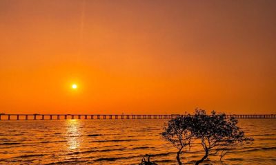 20年摄影经验：手机摄影快速启动秘籍，拍照效率直接翻3倍 - 今日头条