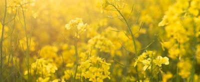 20年摄影经验:手机摄影快速启动秘籍,拍照效率直接翻3倍 - 今日头条 20年摄影经验:手机摄影快速启动秘籍,拍照效率直接翻3倍 - 图画吧TUHUABA