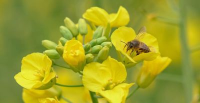 20年摄影经验:手机摄影快速启动秘籍,拍照效率直接翻3倍 - 今日头条 20年摄影经验:手机摄影快速启动秘籍,拍照效率直接翻3倍 - 图画吧TUHUABA