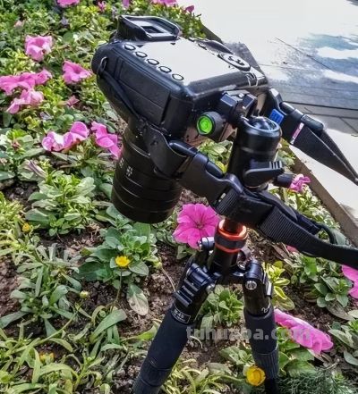 20年摄影经验:手机摄影快速启动秘籍,拍照效率直接翻3倍 - 今日头条 20年摄影经验:手机摄影快速启动秘籍,拍照效率直接翻3倍 - 图画吧TUHUABA