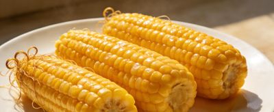 惊蜇到！这6种菜抓紧种，阳台小院都能长，错过只能买贵菜 - 图画吧TUHUABA