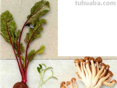 最佳室内蔬果的种植方法及植物档案 - 图画吧TUHUABA