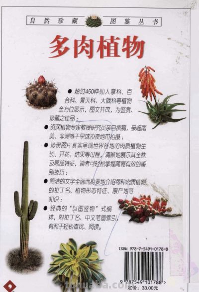 《多肉植物》01 - 今日头条 《多肉植物》01 - 图画吧TUHUABA