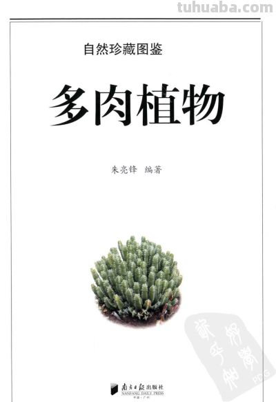 《多肉植物》01 - 今日头条 《多肉植物》01 - 图画吧TUHUABA