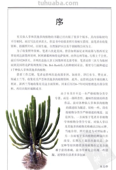 《多肉植物》01 - 今日头条 《多肉植物》01 - 图画吧TUHUABA