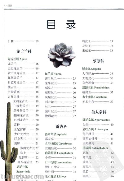 《多肉植物》01 - 今日头条 《多肉植物》01 - 图画吧TUHUABA