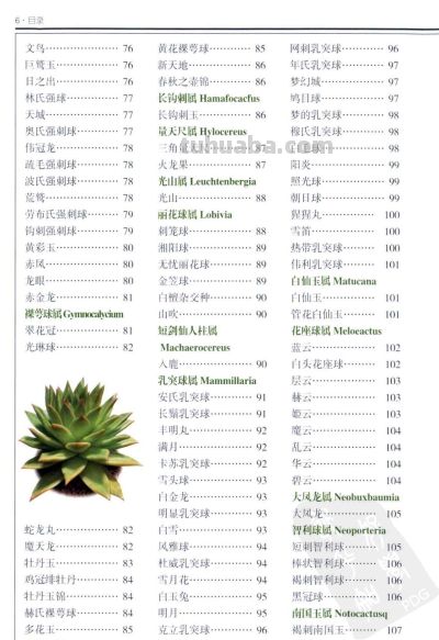 《多肉植物》01 - 今日头条 《多肉植物》01 - 图画吧TUHUABA