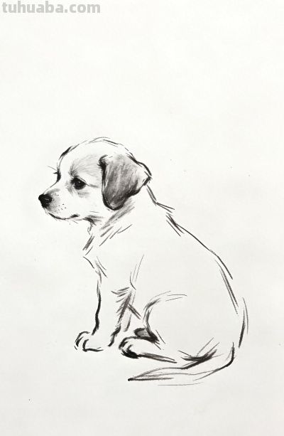 笔下萌宠跃然出 小狗临摹乐趣多丨郭小O绘画AI素材分享 - 今日头条