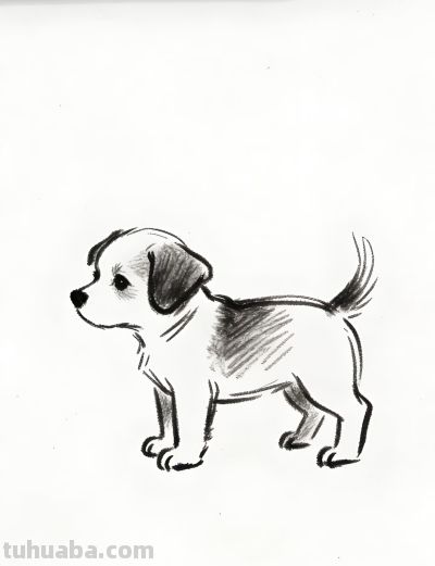 笔下萌宠跃然出 小狗临摹乐趣多丨郭小O绘画AI素材分享 - 今日头条 笔下萌宠跃然出 小狗临摹乐趣多丨郭小O绘画AI素材分享 - 图画吧TUHUABA