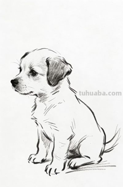 笔下萌宠跃然出 小狗临摹乐趣多丨郭小O绘画AI素材分享 - 今日头条 笔下萌宠跃然出 小狗临摹乐趣多丨郭小O绘画AI素材分享 - 图画吧TUHUABA