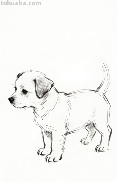 笔下萌宠跃然出 小狗临摹乐趣多丨郭小O绘画AI素材分享 - 今日头条 笔下萌宠跃然出 小狗临摹乐趣多丨郭小O绘画AI素材分享 - 图画吧TUHUABA