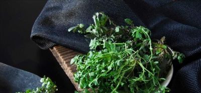 你听我的，3月吃蔬菜，首选这10样，全是时令鲜蔬，错过再等一年 - 图画吧TUHUABA