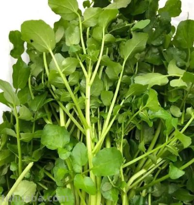 你听我的，3月吃蔬菜，首选这10样，全是时令鲜蔬，错过再等一年 - 图画吧TUHUABA