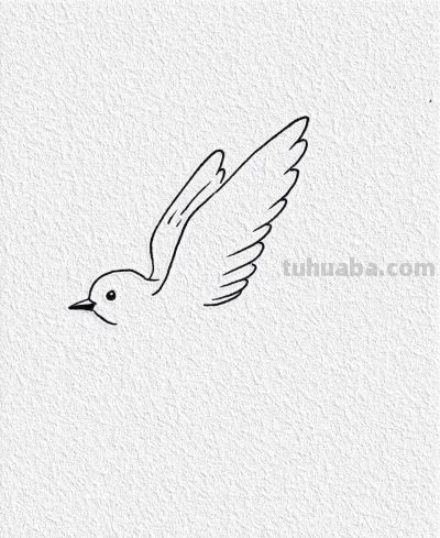 小鸟展翅飞 简笔绘轻盈 心随天空翱翔丨记忆简笔画分享 - 图画吧TUHUABA