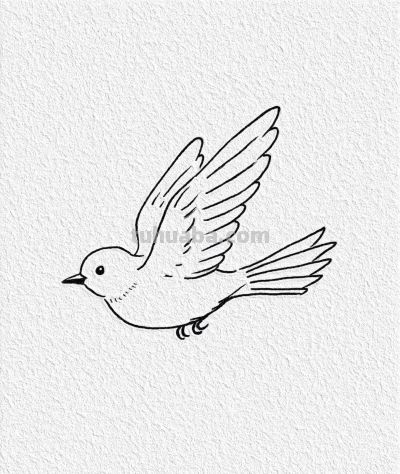 小鸟展翅飞 简笔绘轻盈 心随天空翱翔丨记忆简笔画分享 - 图画吧TUHUABA