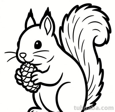 小猪学简笔画-松鼠 - 图画吧TUHUABA