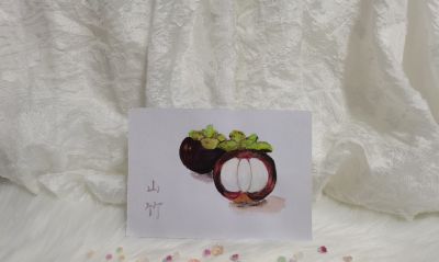 08 水彩山竹（果花甘07） - 今日头条