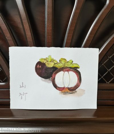 08 水彩山竹（果花甘07） - 图画吧TUHUABA