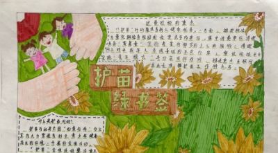 “护苗·绿书签”‖手抄报大赛获奖作品展示（中学组）之二 - 图画吧TUHUABA