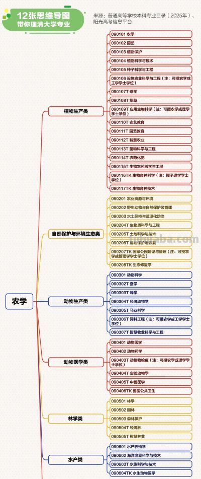转存！最新大学本科专业思维导图，志愿填报必看！ - 图画吧TUHUABA