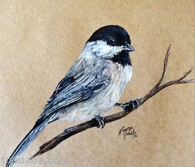 彩铅画出来的漂亮小鸟 - 图画吧TUHUABA