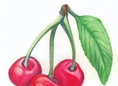 彩铅画入门教程 | 彩铅水果画：樱桃的画法步骤图 - 今日头条