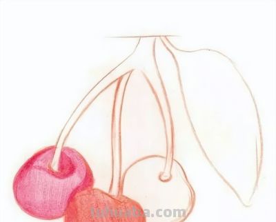 彩铅画入门教程 | 彩铅水果画：樱桃的画法步骤图 - 图画吧TUHUABA
