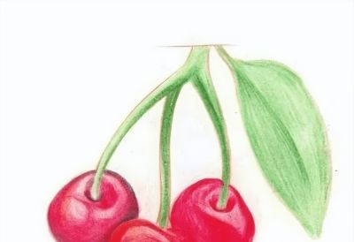 彩铅画入门教程 | 彩铅水果画：樱桃的画法步骤图 - 图画吧TUHUABA