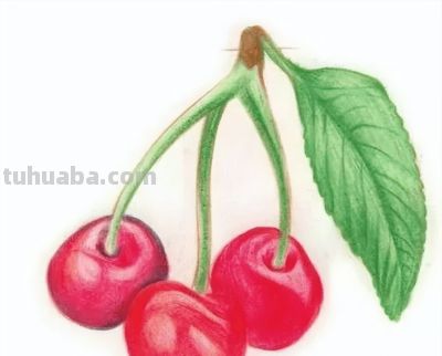 彩铅画入门教程 | 彩铅水果画：樱桃的画法步骤图 - 图画吧TUHUABA