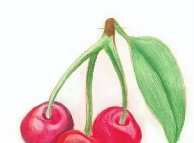 彩铅画入门教程 | 彩铅水果画：樱桃的画法步骤图 - 图画吧TUHUABA