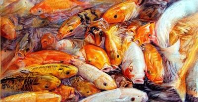 这位彩铅画的金鱼太美啦！ - 图画吧TUHUABA