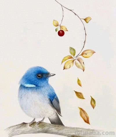 好美的彩铅画 - 今日头条