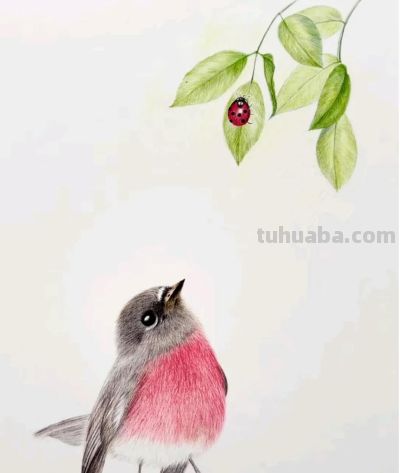 好美的彩铅画 - 图画吧TUHUABA