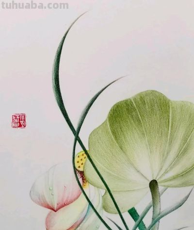 好美的彩铅画 - 图画吧TUHUABA