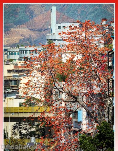收集春日的心动色彩，画出一个锦绣天府安逸四川 - 图画吧TUHUABA