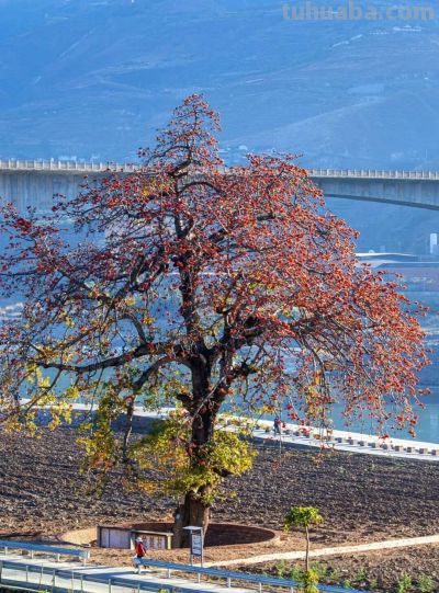 收集春日的心动色彩，画出一个锦绣天府安逸四川 - 图画吧TUHUABA