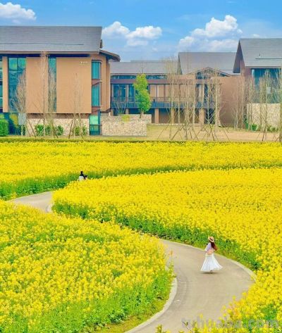 收集春日的心动色彩，画出一个锦绣天府安逸四川 - 图画吧TUHUABA