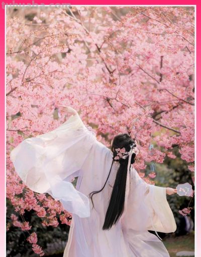 收集春日的心动色彩，画出一个锦绣天府安逸四川 - 图画吧TUHUABA