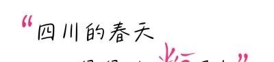 收集春日的心动色彩，画出一个锦绣天府安逸四川 - 图画吧TUHUABA