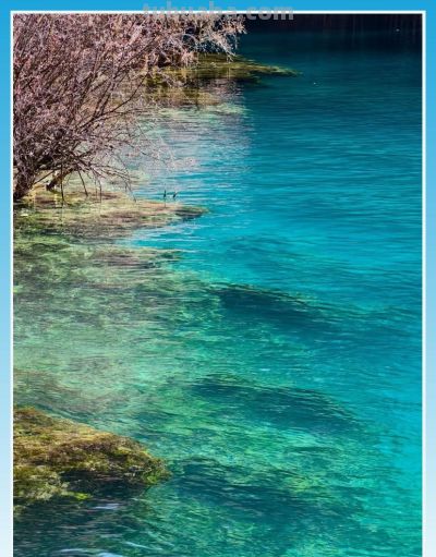 收集春日的心动色彩，画出一个锦绣天府安逸四川 - 图画吧TUHUABA