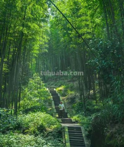 收集春日的心动色彩，画出一个锦绣天府安逸四川 - 图画吧TUHUABA