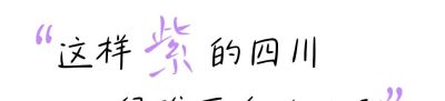 收集春日的心动色彩，画出一个锦绣天府安逸四川 - 图画吧TUHUABA