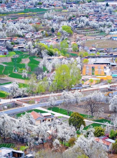 收集春日的心动色彩，画出一个锦绣天府安逸四川 - 图画吧TUHUABA