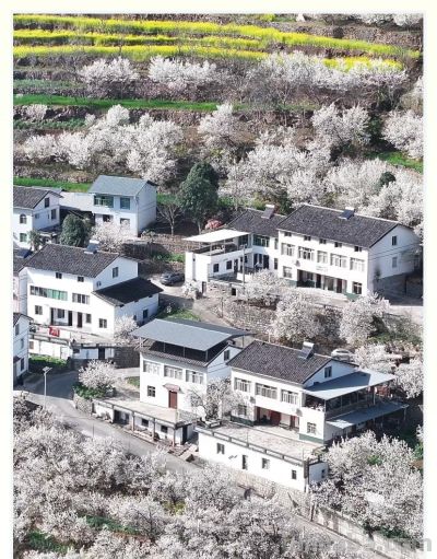 收集春日的心动色彩，画出一个锦绣天府安逸四川 - 图画吧TUHUABA