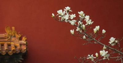 传统色彩是中国文明的胎记，我们正在寻回它 - 今日头条