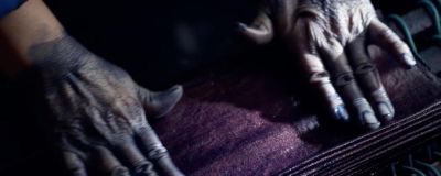 传统色彩是中国文明的胎记，我们正在寻回它 - 图画吧TUHUABA